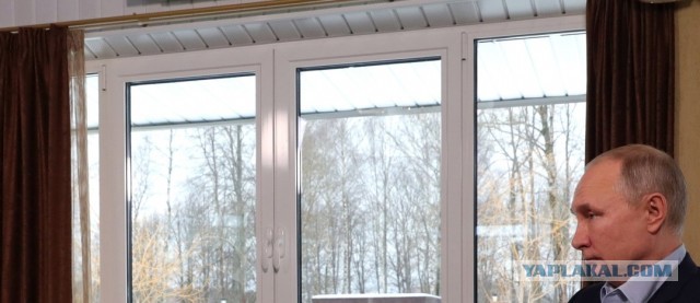 Снова "съемка из бункера"?! Где верхушки деревьев-то?!