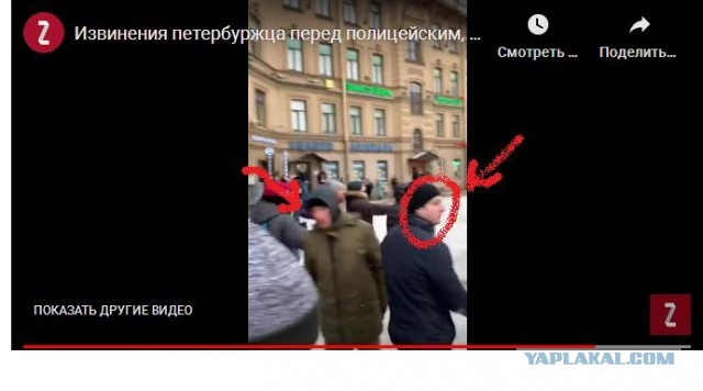В МВД признали законными действия доставшего табельное оружие полицейского