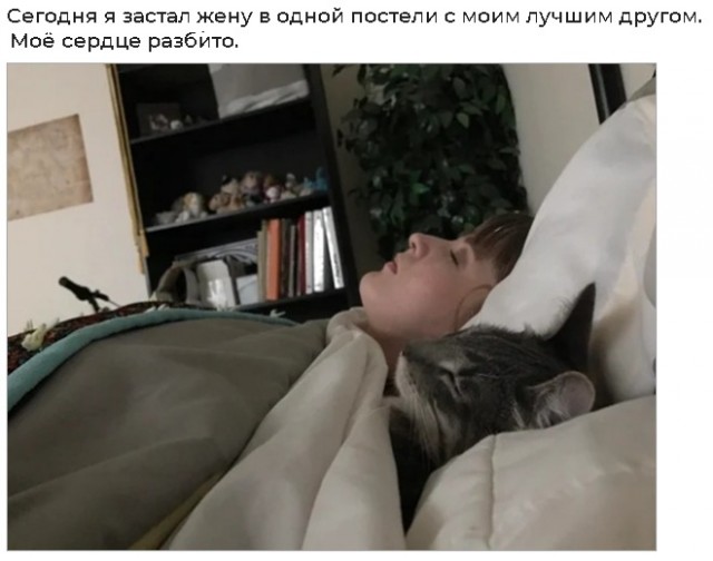 Картинки 11.02