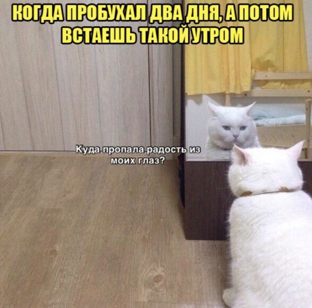 Алкопост  09.04.21