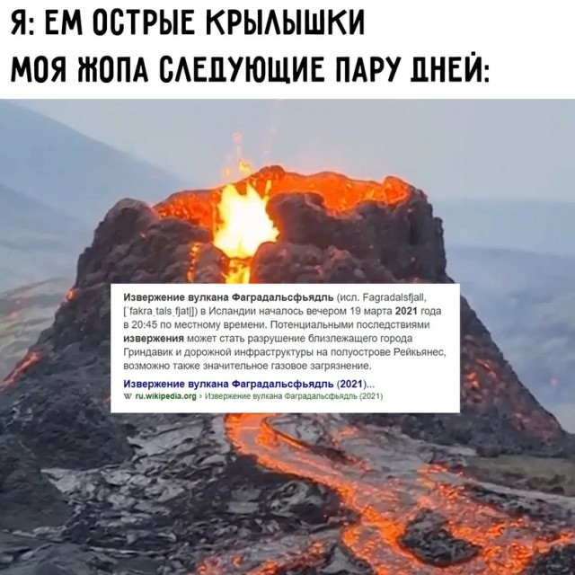 Весёлый полтишок 26.04