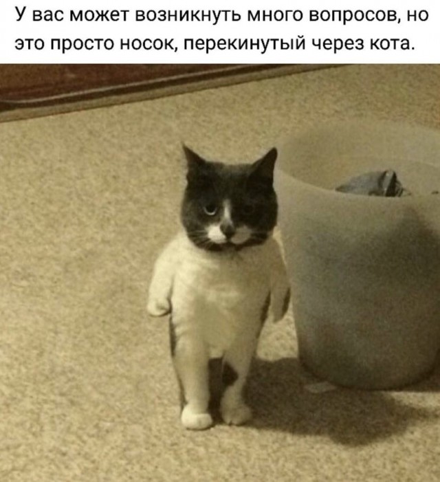 Картинки и мемы для настроения 2021.09.07