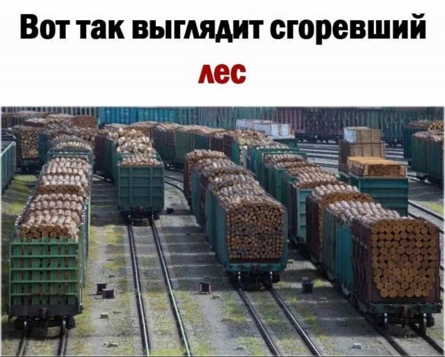 Баянисто-небаянистый юмор. 13.09.21