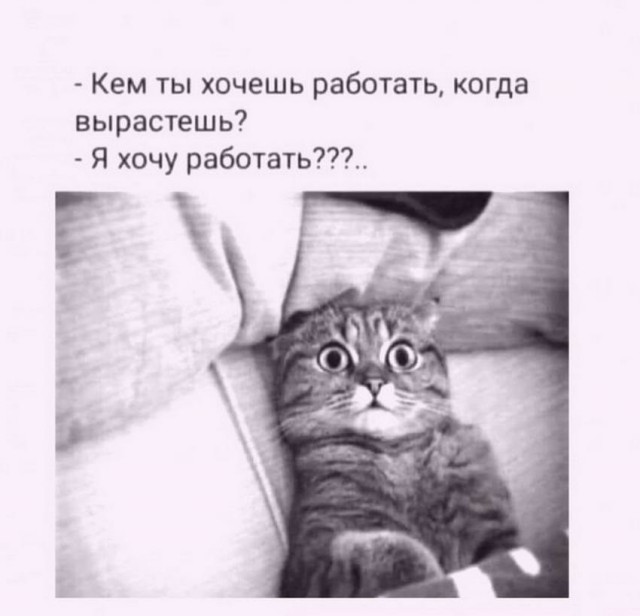 Картинки и мемы для настроения 30.09.2021