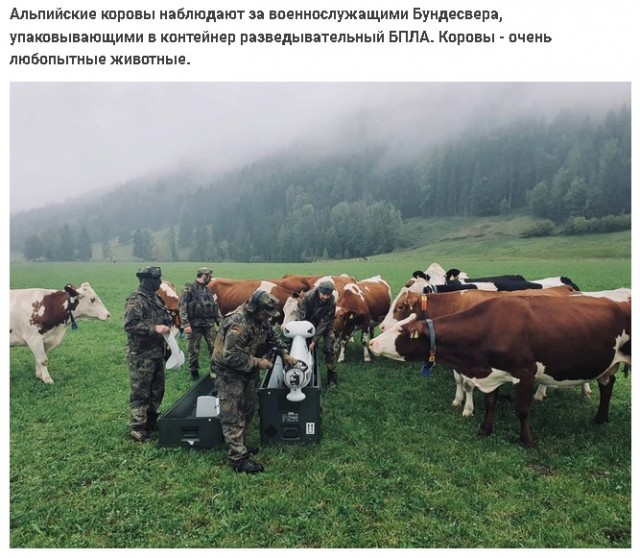 Так себе картинки 24.10.21