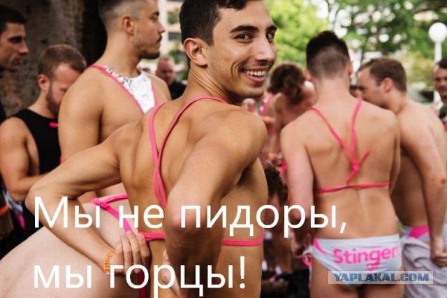Дворовое быдло