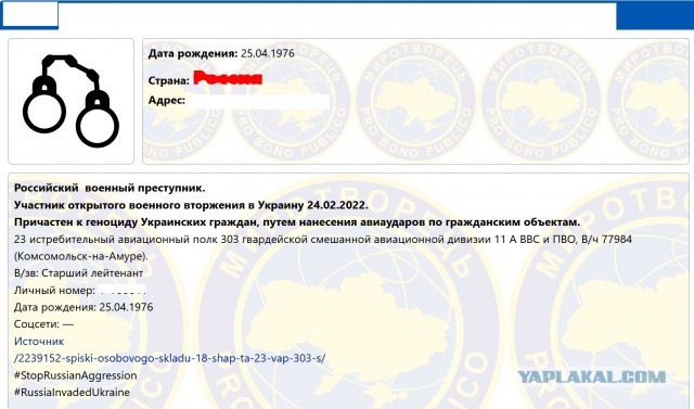 Кошки в Киеве