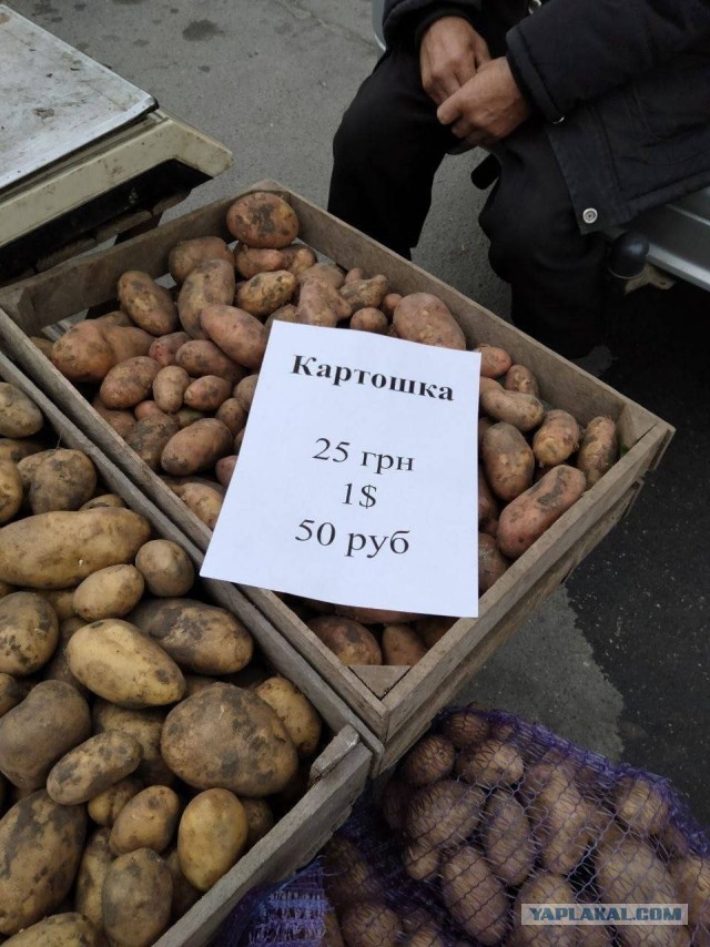 Курс доллара упал ниже ₽81 впервые с 23 февраля