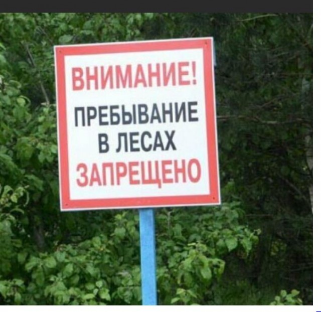 Пандемия съехавших крыш - разновидности болезни. Россия и мир. Часть 40.