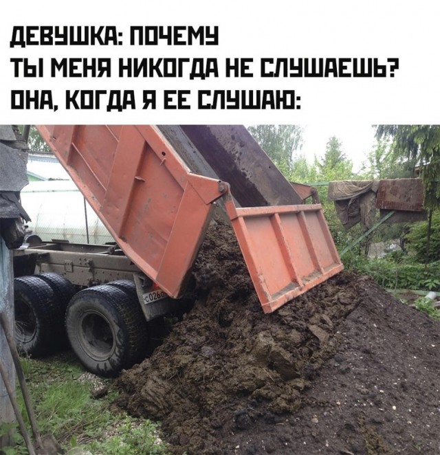 Весёлый полтишок 20.10.22