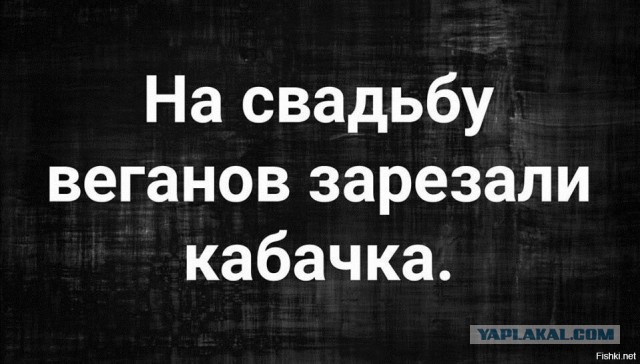 Регулярно нахожу в холодильнике зарезанный труп капусты, забытый женой полгода назад