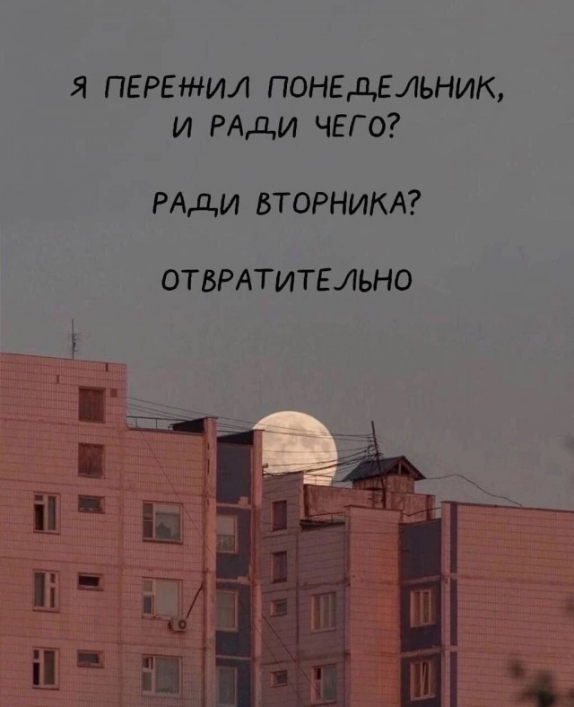 Немного картинок для настроения - 139
