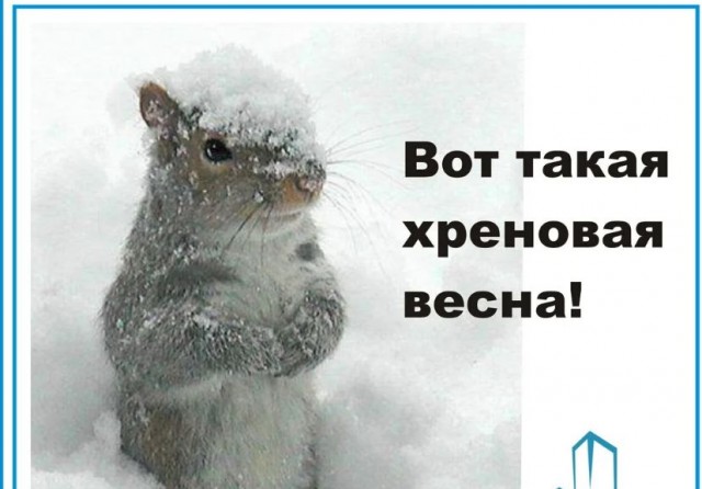Победная поступь идиотизма по планете – том 9