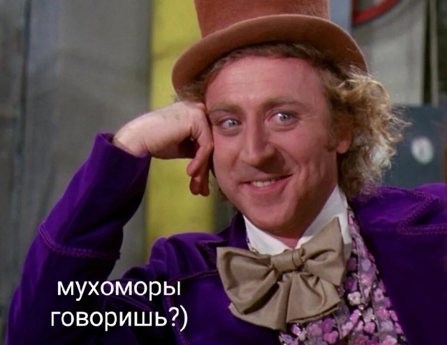 Депутат из Красноярского края отравился мухоморами в Москве.