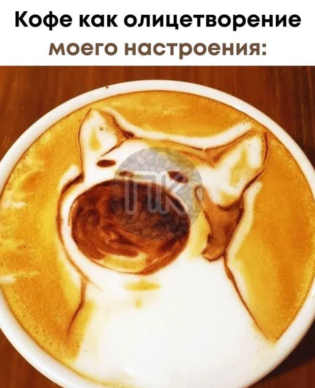 Победная поступь идиотизма по планете – том 10