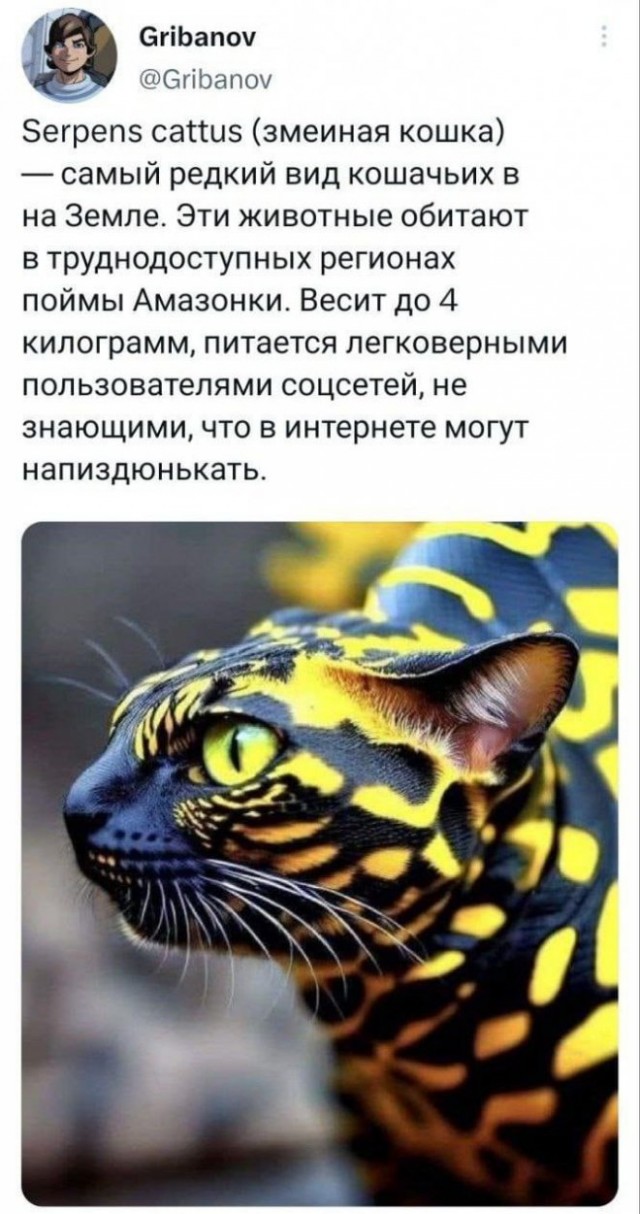 Немного картинок для настроения - 153