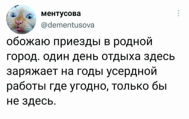 Картинок вам