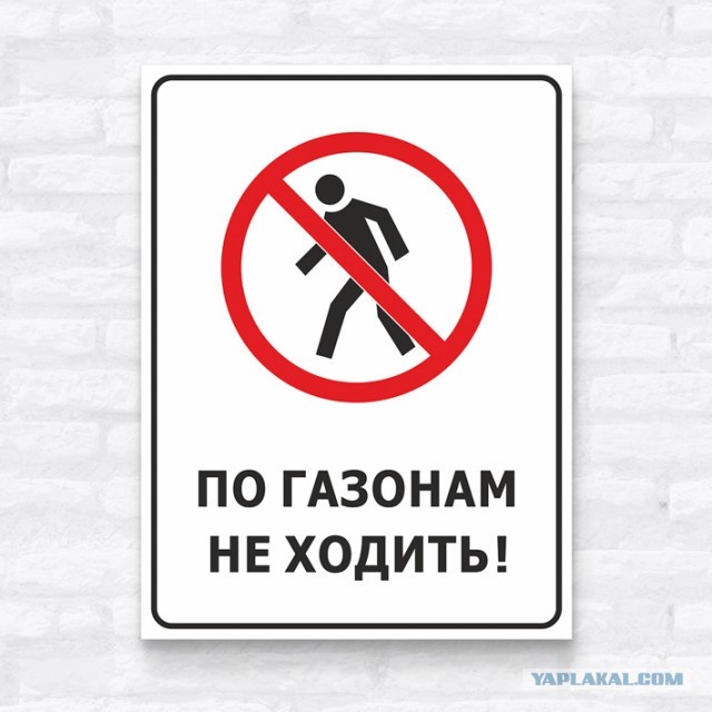 «Я могу быть невинной хоть сто раз». Капсулы девственности покорили Азию