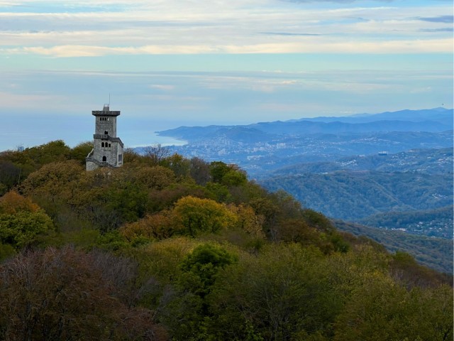 Красивые фото ЯПа