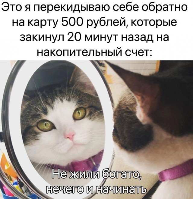 Картинки из Дристоля