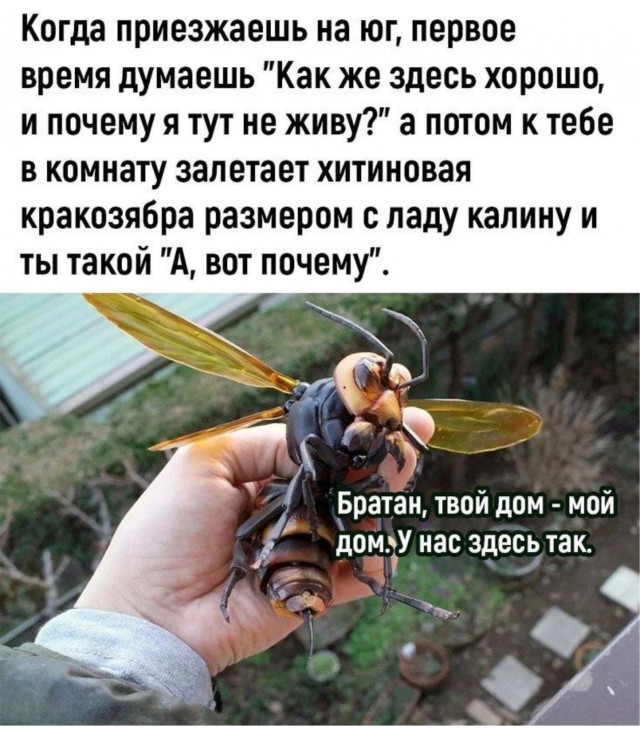 Так себе картинки 07.08.24