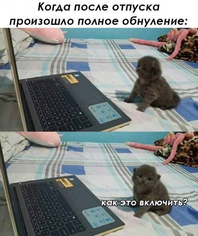 Завалялось тут случайно немного забавных картинок