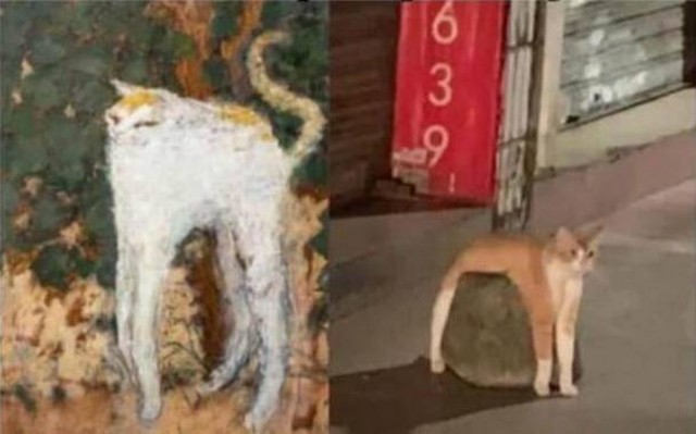 Прикольные и просто красивые картинки