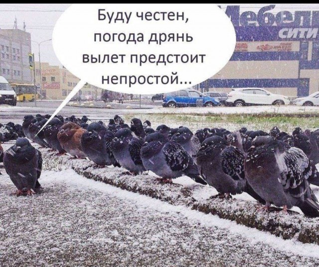 Нл-10, незаменимый калькулятор лётчика и штурмана