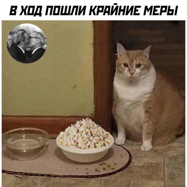 Завалялось тут случайно немного забавных картинок