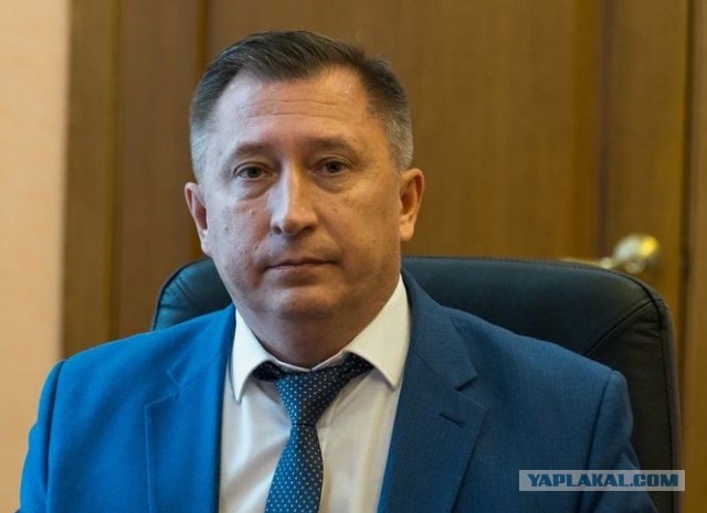 Публично возмутившемуся отпуском чиновницы Хинштейну указали на неправоту
