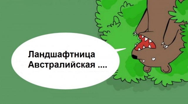 Австралийская ландшафтница потребовала работать топлес, как и её коллеги-мужчины