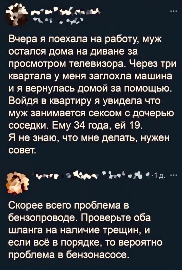 Сеня, дичь!