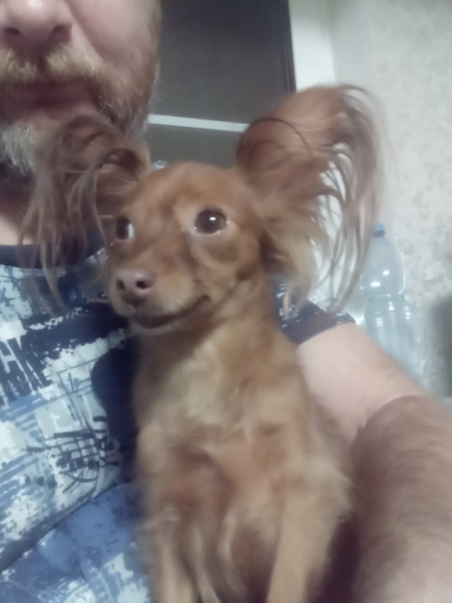 Жаклин