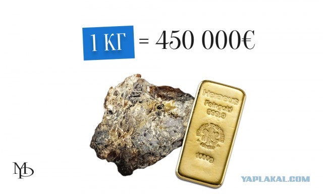 Самый грозный хищник океана не акула — его боятся даже косатки