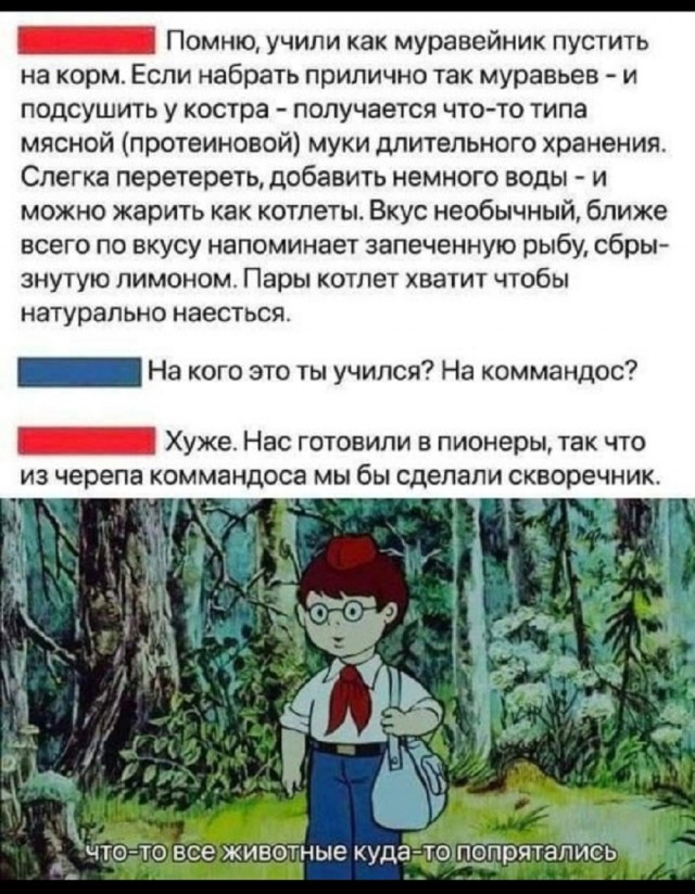 Так себе картинки 19.06.25