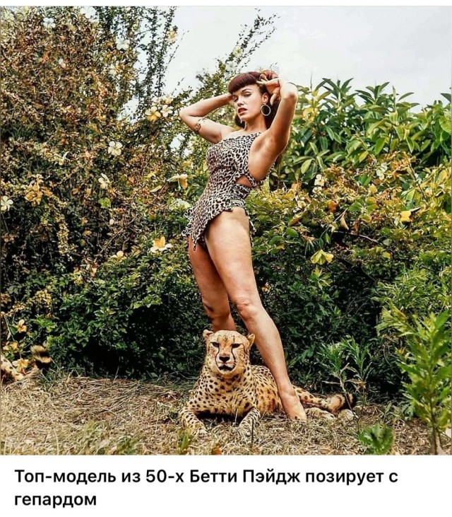 Фотографии о прошлом, открывающие историю с новой стороны 17.07.25