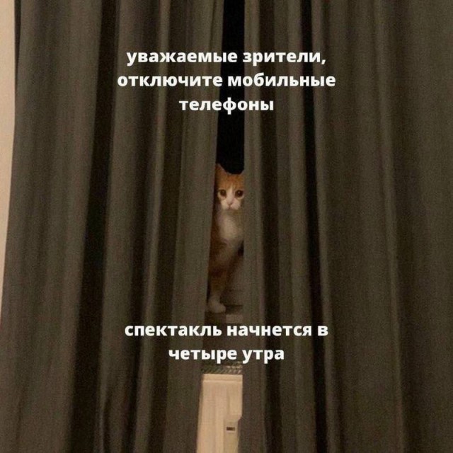 Так себе картинки 13.09.25