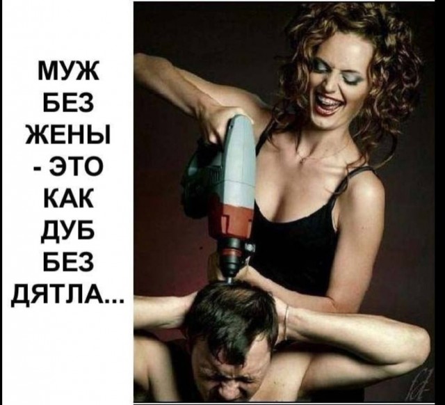 Картинки для деградации 44 (разной степени свежести)