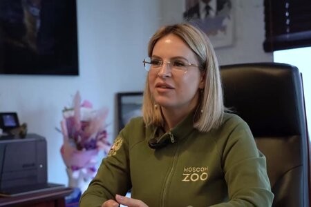 Глава Московского зоопарка предложила запретить держать в антикафе капибар и енотов