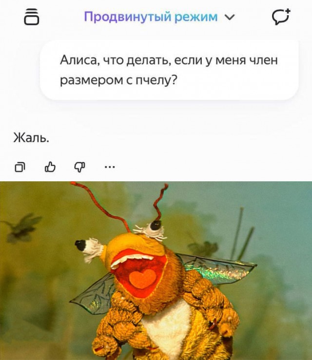 Веселые картинки в маленькую пятницу (24.09)