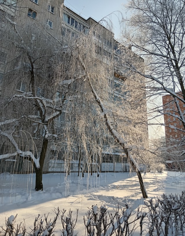Немного о качестве воздуха в Новосибирске