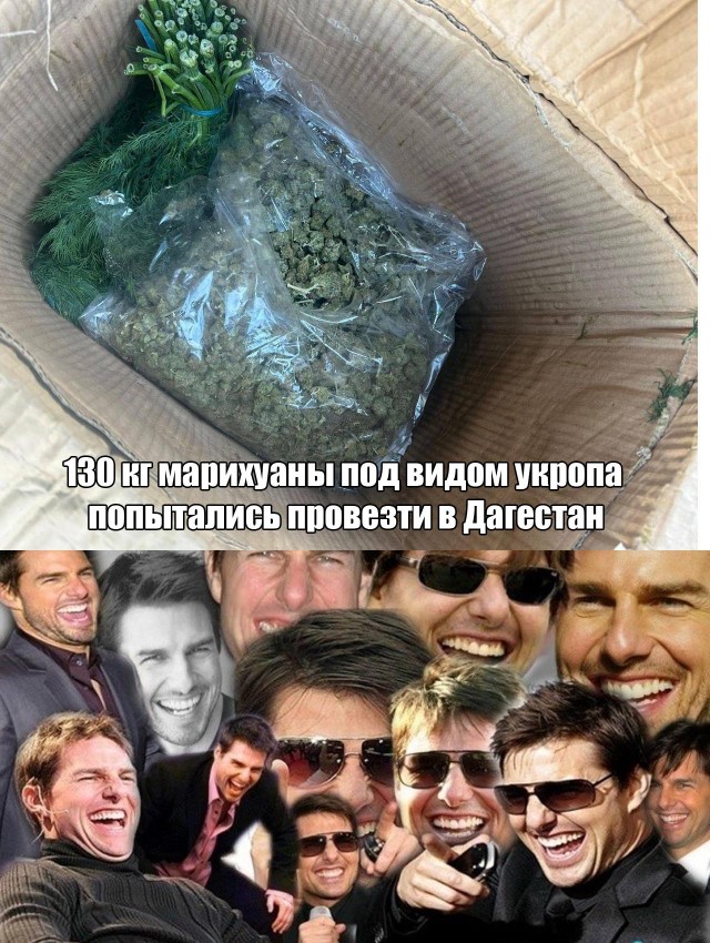 Нуштош. Осознание пути в никуда (s5e4)