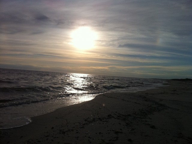 Кинбурнская коса