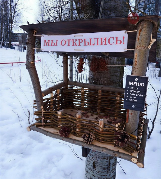 Так себе картинки 15.02.26