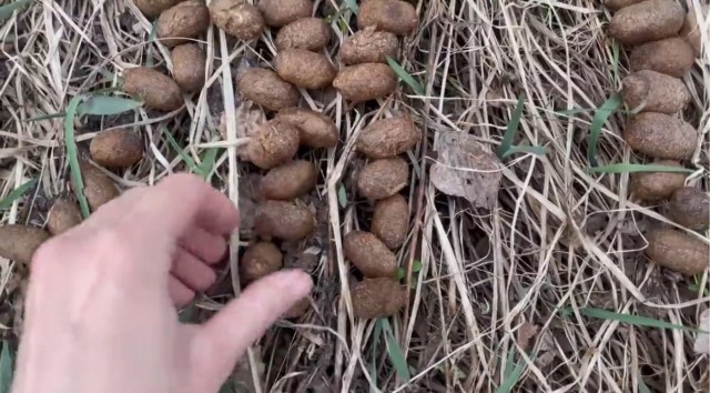 У нас сегодня охоту открыли