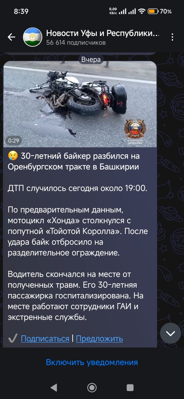 Погонял