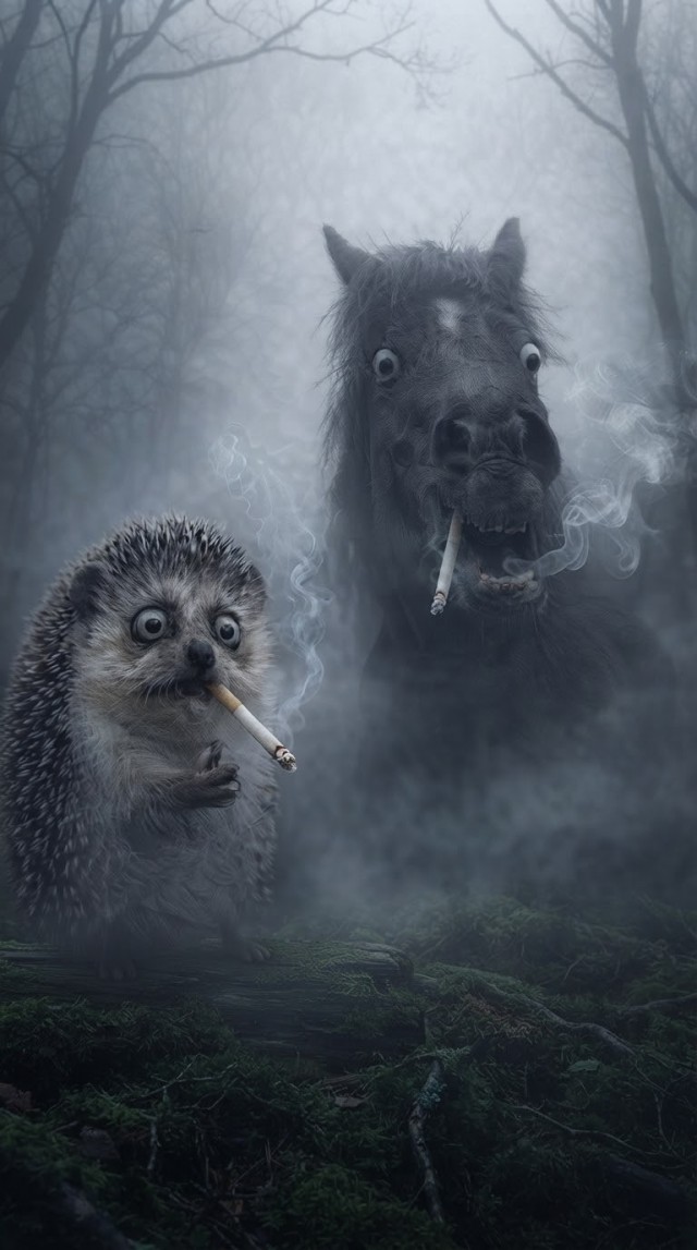 Отличная заставка! !!