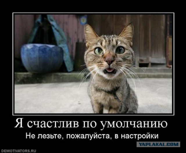Вот это торкнуло!