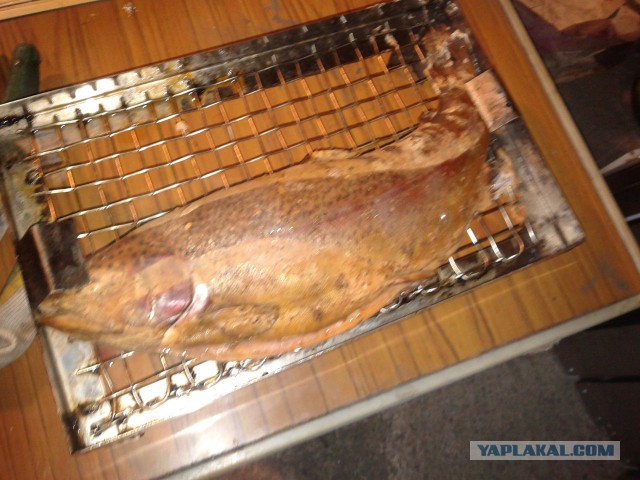 Сезон открыт!