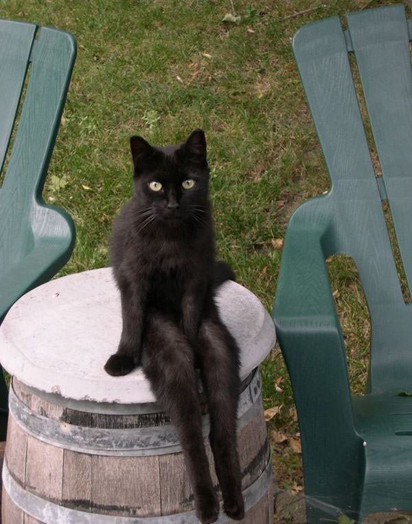 "А ну-ка сядь, у меня к тебе есть важный разговор"